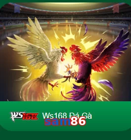 sam86